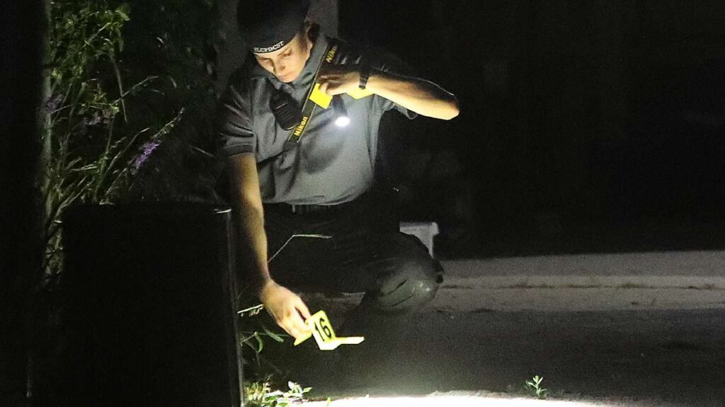 Como perito particular pode provar sua inocência